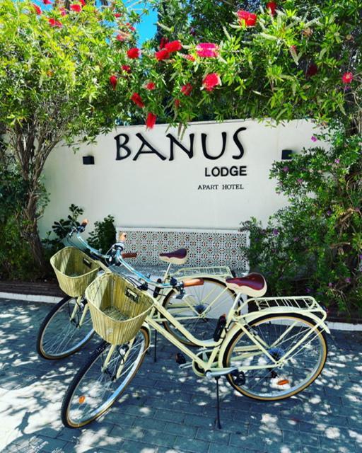 Banus Lodge Marbella Buitenkant foto