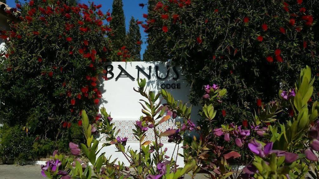Banus Lodge Marbella Buitenkant foto